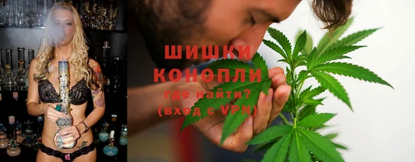 твердый Аркадак