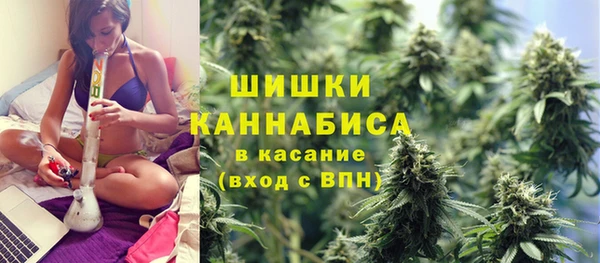 твердый Аркадак