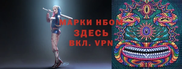 гашик Балахна